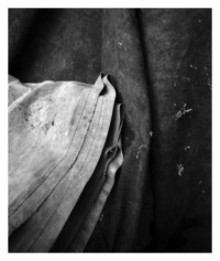 blankets - 08.04.2014