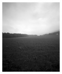 landscape - 23.09.2014